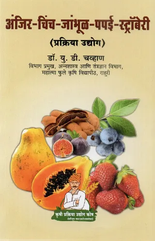 अंजिर-चिंच-जांभूळ-पपई-स्ट्रॉबेरी प्रक्रिया उद्योग