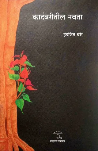 कादंबरीतील नवता