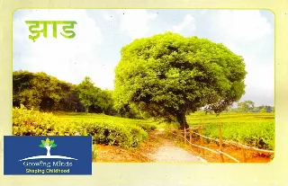 झाड