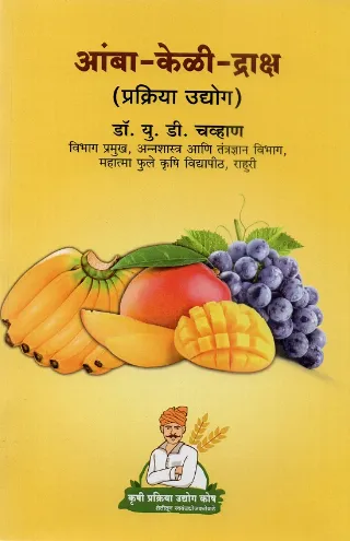आंबा-केळी-द्राक्ष प्रक्रिया उद्योग