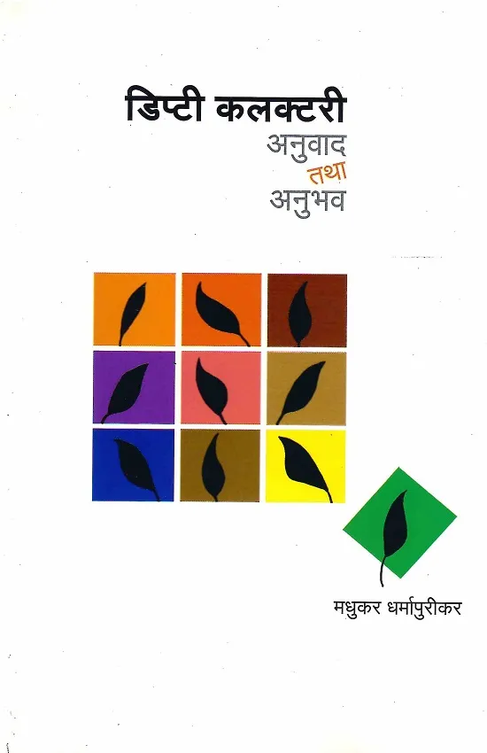 डिप्टी कलक्टरी अनुवाद तथा अनुभव