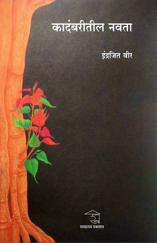 कादंबरीतील नवता