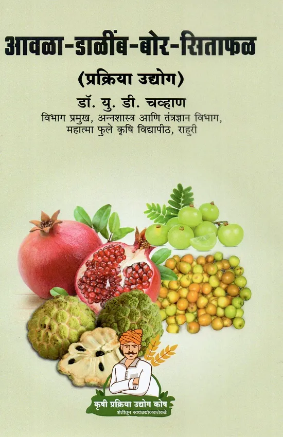 आवळा-डाळींब-बोर-सिताफळ प्रक्रिया उद्योग