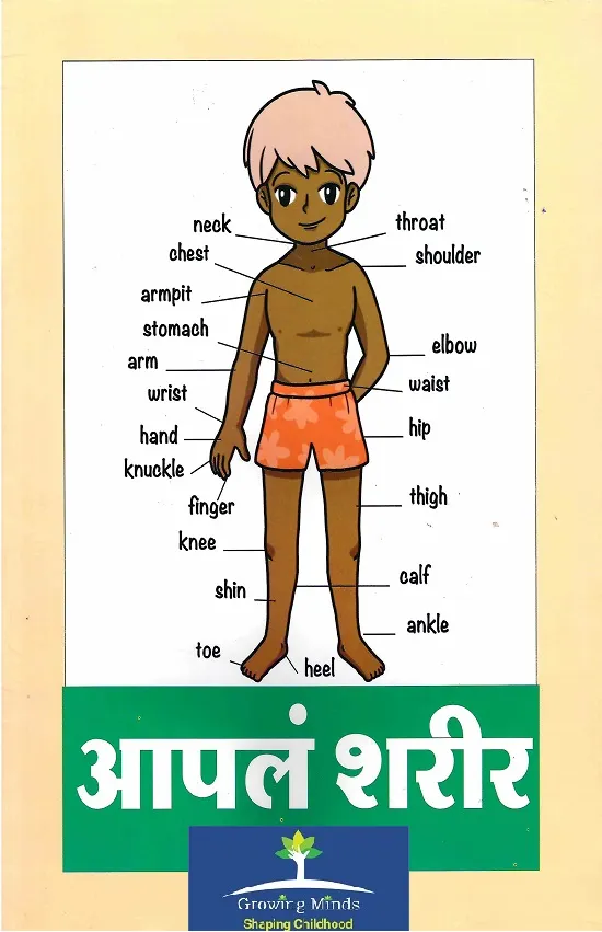 आपलं शरीर