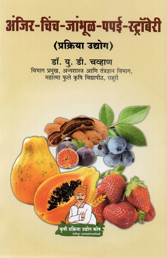 अंजिर-चिंच-जांभूळ-पपई-स्ट्रॉबेरी प्रक्रिया उद्योग