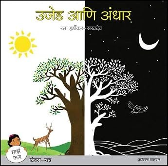खोडकर फुगा | उजेड आणि अंधार — image 2