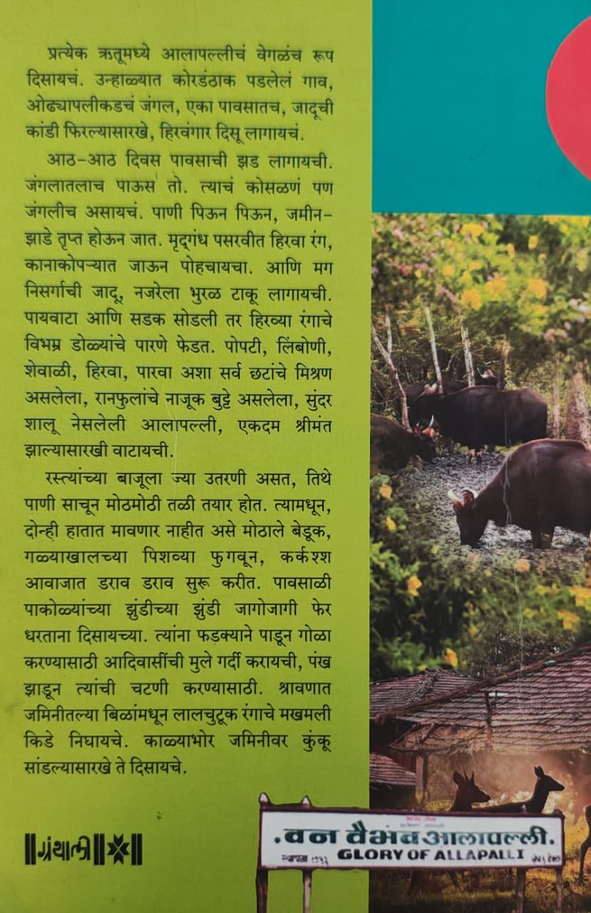 दिवस आलापल्लीचे — image 1