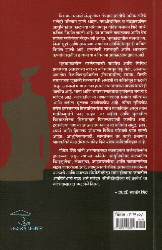 सीसीटीव्हींच्या गर्द छायेत — image 1