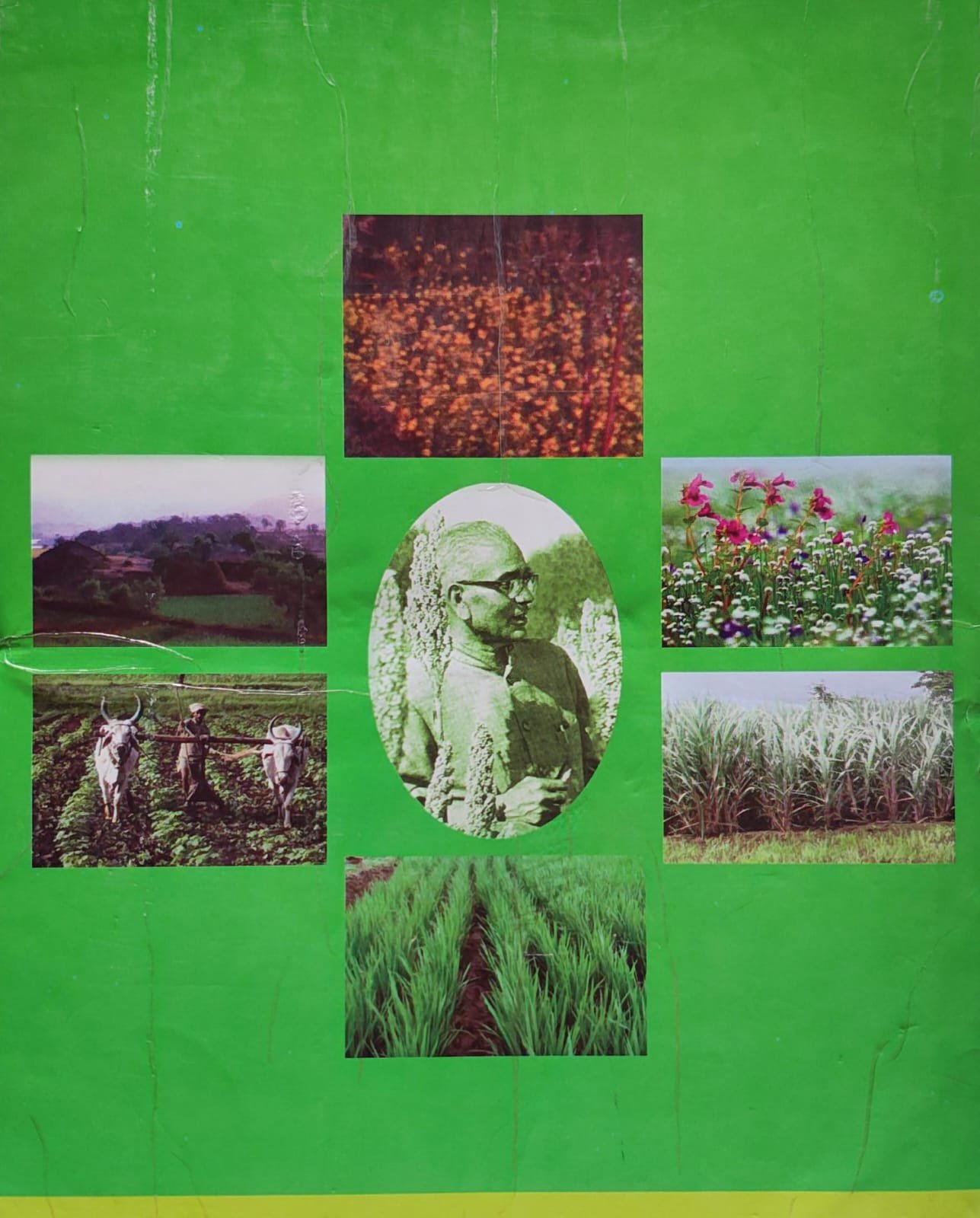 चतुरस — image 1