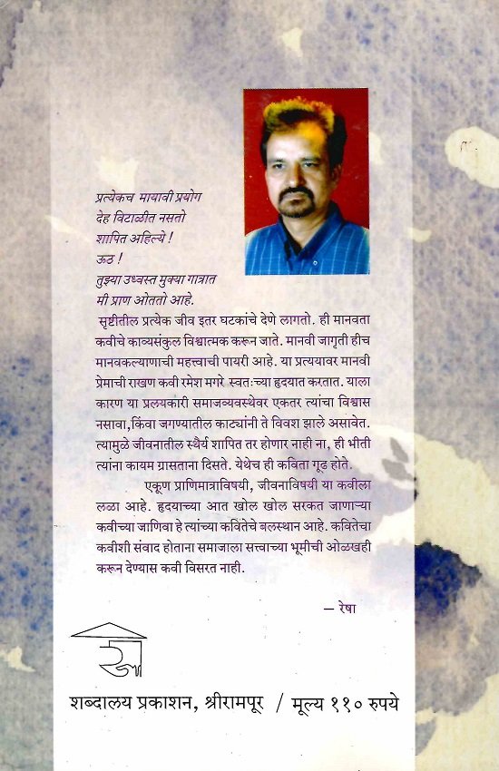 ओळींनी अंबर व्हावे — image 1