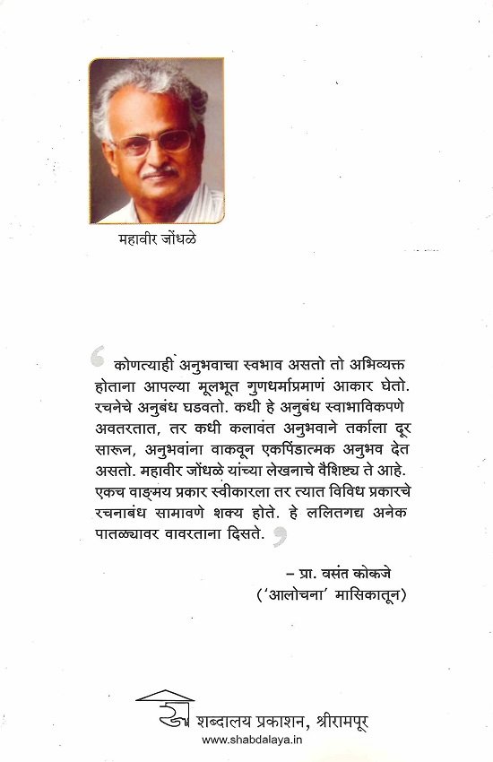 साळुंकीची सावली — image 1