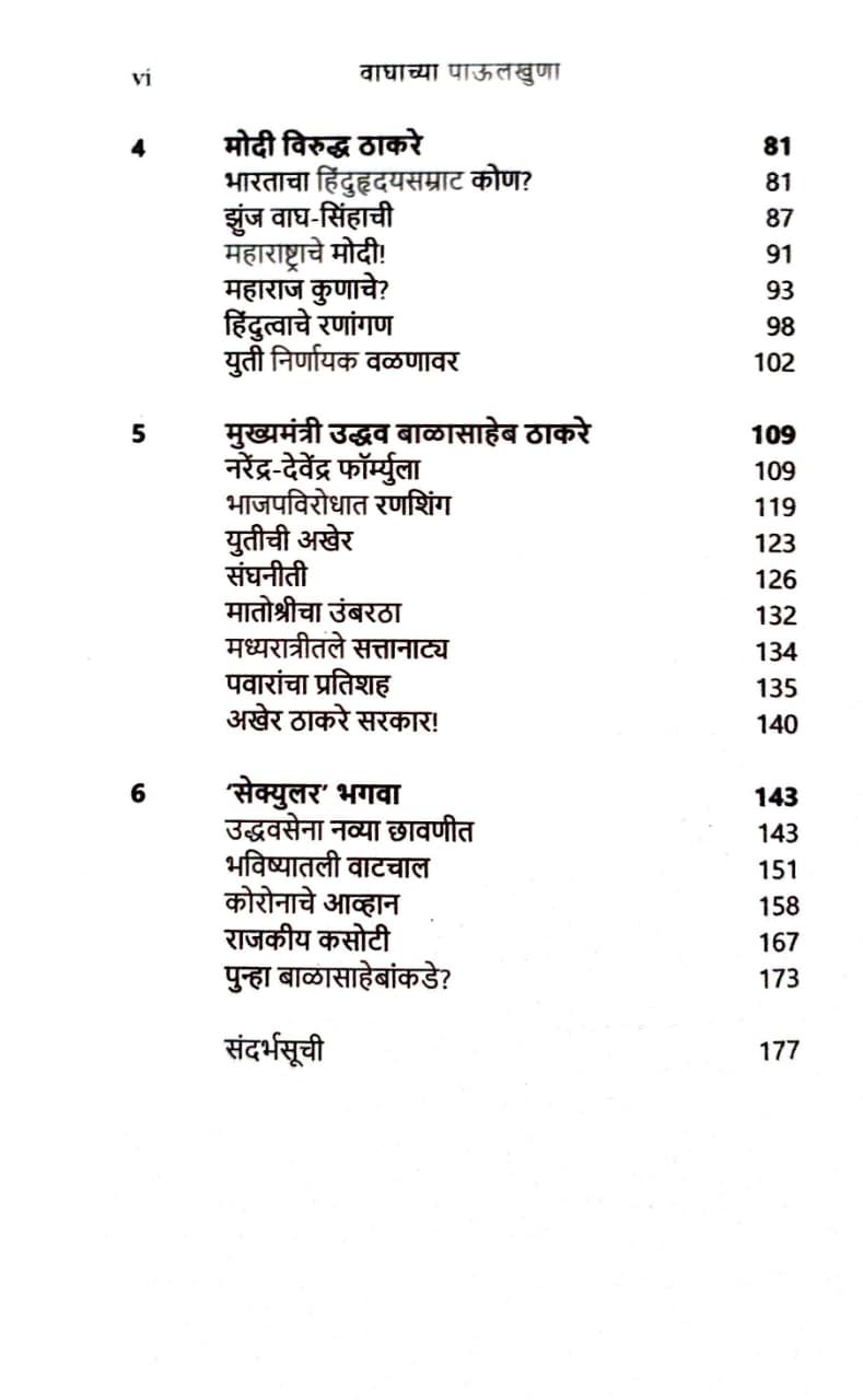 वाघाच्या पाऊलखुणा — image 3