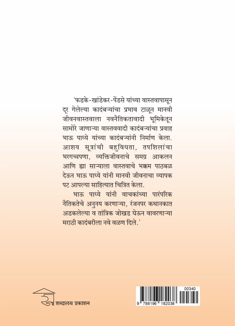 Bhau Padhye Yanchi Kadambari I भाऊ पाध्ये यांची कादंबरी - Image 2