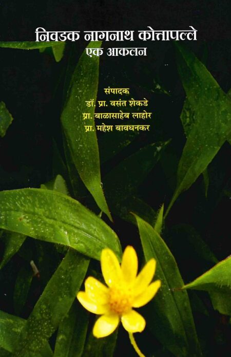 Nivdak Nagnath Kottapalle Ek Akalan | निवडक नागनाथ कोत्तापल्ले एक आकलन